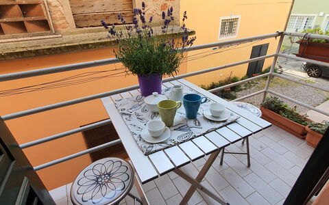 Lucida: Plante, Bordservice, Ejendom, Vindue, Bord, Blomsterkrukke, Træ, Stueplante, Indretning, Purple