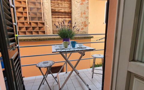 Lucida: Plante, Blomsterkrukke, Stueplante, Vindue, Træ, Bord, Indretning, Gulvbelægning, Etage, Bygning