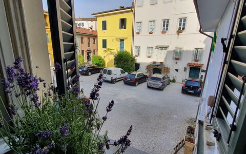 Lucida: Plante, Bygning, Vindue, Bil, Hjul, Blomst, Køretøj, Vejbelægning, Urban Design