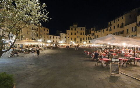 Loft Lucca: Bygning, Telt, Plante, Fritid, Træ, City, Byområde, Blandet Brug, Vejbelægning, Menneskelig Bosættelse