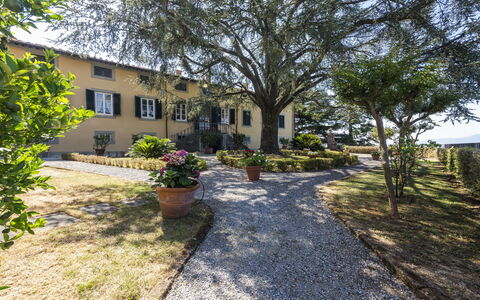 Villa San Gennaro: Plante, Bygning, Vindue, Træ, Himmel, Vejbelægning, Land Lot, Hus, Landskab, Græs