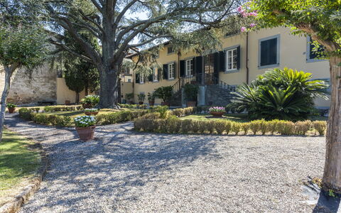 Villa San Gennaro: Plante, Bygning, Ejendom, Vindue, Botanik, Træ, Vejbelægning, Himmel, Vegetationen, Land Lot