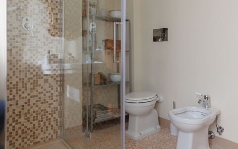 Appartamento Mancini: Sanitærarmatur, Toilet, Badeværelse, Toiletbræt, Indretning, Etage, Gulvbelægning, Vvs, Bruser Dør, Træ