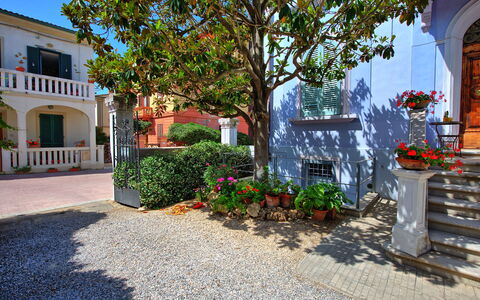 Casa Riva: Plante, Blomst, Bygning, Vindue, Ejendom, Blomsterkrukke, Blå, Vejbelægning, Træ, Stueplante