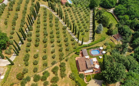 La Quiete: Plante, Ejendom, Naturlige Landskab, Land Lot, Træ, Urban Design, Bygning, Græs, Landdistrikt, Fritid