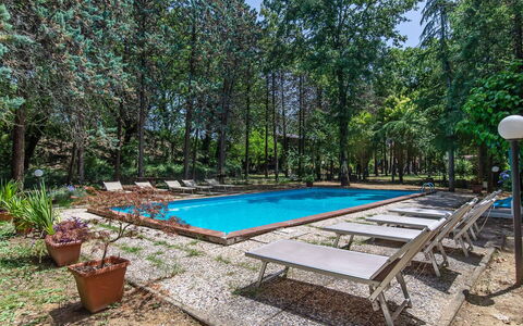 Villa Pania: Plante, Vand, Azure, Svømmepøl, Blomsterkrukke, Træ, Udendørs Møbler, Skygge, Bord, Fritid