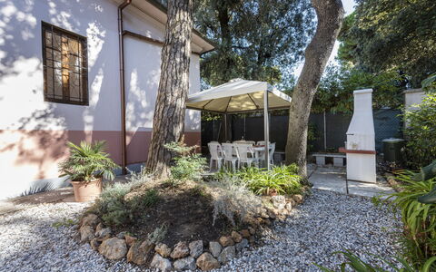 Villa Marconi: Plante, Ejendom, Bygning, Vejbelægning, Træ, Skygge, Boligområde, Ejendom, Bunddække, Landskab