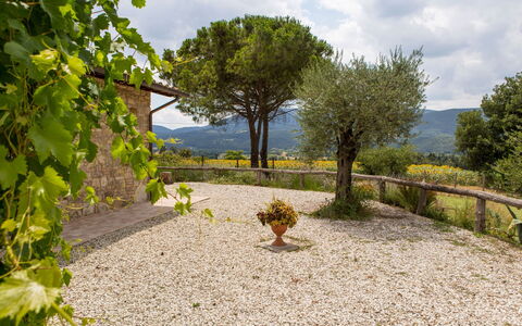 Villa Tavernacce: Himmel, Sky, Plante, Plantesamfund, Træ, Naturlige Landskab, Vejbelægning, Land Lot, Græs, Busk