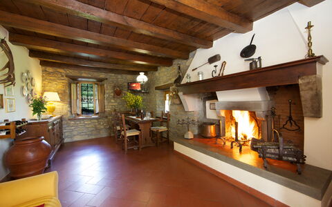 Villa Renaccio: Bygning, Træ, Plante, Indretning, Stue, Couch, Stueplante, Etage, Bjælke, Blomsterkrukke