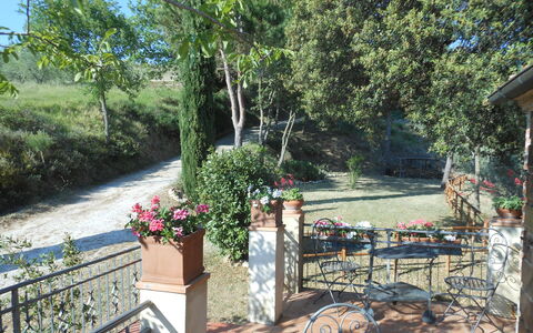 Casa Mulinello: Plante, Blomst, Træ, Blomsterkrukke, Udendørs Møbler, Skygge, Stueplante, Græs, Udendørs Bord, Fritid