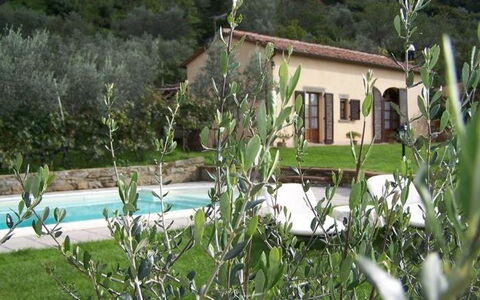 Orangerie Degli Ulivi: Plante, Ejendom, Vindue, Plantesamfund, Bygning, Natur, Vand, Hus, Vegetationen, Land Lot