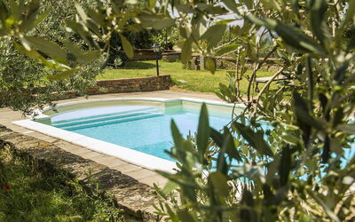 Orangerie degli Ulivi: Swimming pool