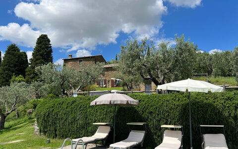 Villa Patrizia: Sky, Plante, Himmel, Plantesamfund, Paraply, Natur, Træ, Naturlige Landskab, Skygge, Vegetationen