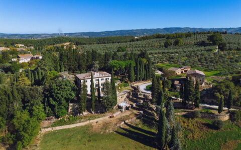 Villa Staggia: Træ, Landskab, Busk, Estate, Mansion, Landscaping, Evergreen, Plantation