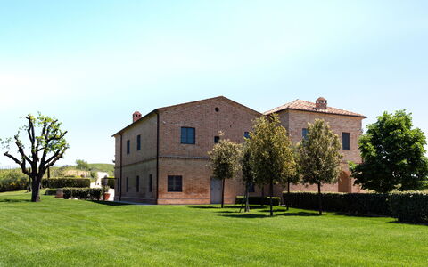 Podere D'Asso: Himmel, Plante, Ejendom, Bygning, Vindue, Træ, Land Lot, Græs, Hus, Dør