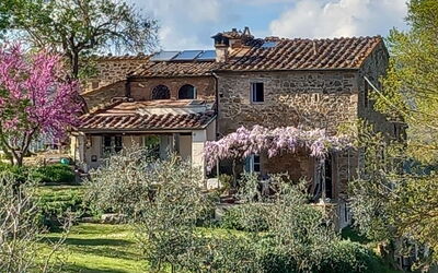 Podere Monteguidi: Blomst, Plante, Himmel, Bygning, Sky, Vindue, Træ, Naturlige Landskab, Hus, Græs