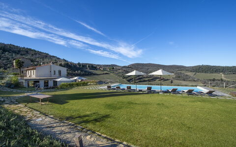 Bella Di Panzano: Himmel, Sky, Plante, Bjerg, Highland, Land Lot, Græs, Vindue, Naturlige Landskab, Græs-