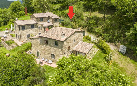 Casa Bosco D'arte Holiday Home , Greve In Chianti,: Bygning, Plante, Grøn, Træ, Naturlige Landskab, Land Lot, Hus, Vindue, Græs, Bunddække