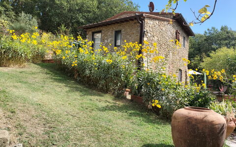 Casa Bosco D'arte Holiday Home , Greve In Chianti,: Blomst, Plante, Bygning, Plantesamfund, Vindue, Himmel, Naturlige Landskab, Træ, Hus, Land Lot