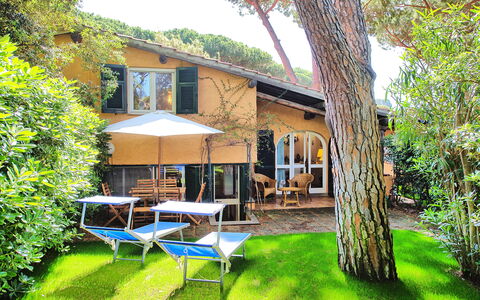 Le Dune: Plante, Ejendom, Bygning, Vindue, Træ, Himmel, Skygge, Stol, Udendørs Møbler, Paraply