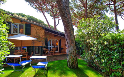 Le Dune: Plante, Himmel, Bygning, Natur, Træ, Naturlige Landskab, Udendørs Møbler, Græs, Skygge, Bord