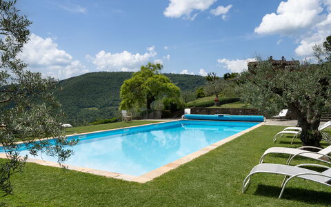 Villa Olivi - Subbiano, Toscana, Pool And Nature: Vand, Sky, Plante, Himmel, Ejendom, Svømmepøl, Træ, Naturlige Landskab, Krop Af Vand, Skygge