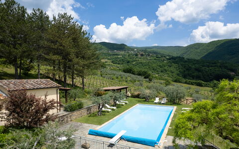 Villa Olivi - Subbiano, Toscana, Pool And Nature: Plante, Vand, Sky, Himmel, Ejendom, Svømmepøl, Azure, Træ, Naturlige Landskab, Bjerg