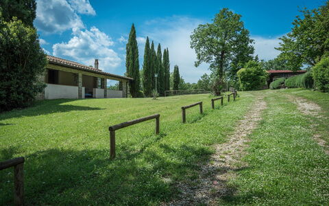 Borgo La Casina - Badia Agnano, Toscana: Sky, Himmel, Plante, Ejendom, Naturlige Landskab, Træ, Land Lot, Sollys, Hegn, Landskab