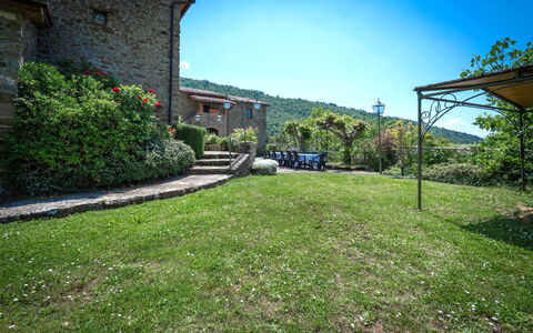 Colle Degli Ulivi - Cortona, Pool, Nature, Privacy: Plante, Himmel, Ejendom, Bygning, Blad, Land Lot, Vegetationen, Naturlige Landskab, Biome, Græs