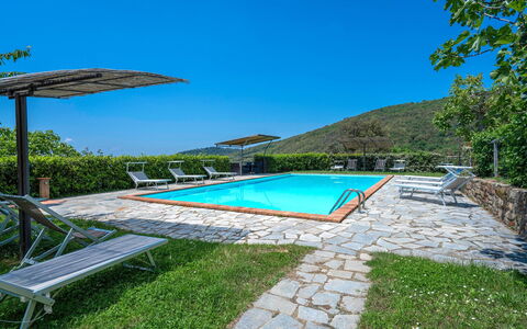 Colle Degli Ulivi - Cortona, Pool, Nature, Privacy: Vand, Himmel, Plante, Svømmepøl, Paraply, Udendørs Møbler, Bygning, Skygge, Rektangel, Træ