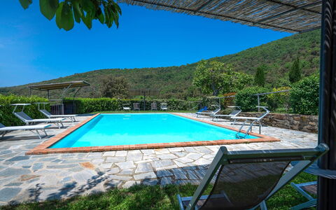 Colle Degli Ulivi - Cortona, Pool, Nature, Privacy: Vand, Himmel, Plante, Ejendom, Svømmepøl, Azure, Stol, Skygge, Træ, Bygning