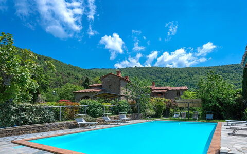 Colle Degli Ulivi - Cortona, Pool, Nature, Privacy: Vand, Sky, Himmel, Plante, Ejendom, Blå, Grøn, Svømmepøl, Azure, Træ