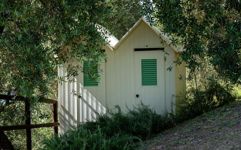 Luxury Green Marignana Villa, Versilia, Pool, Ac,: Plante, Naturligt Miljø, Træ, Bygning, Træ, Dør, Græs, Vedplante, Naturlige Landskab, Landdistrikt