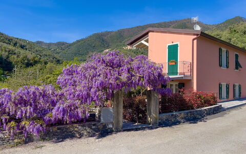 La Casa Dei Glicini - Levanto: Blomst, Plante, Himmel, Bygning, Vindue, Blå, Azure, Bjerg, Purple, Hus