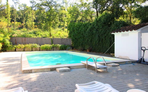 Pupa House: Plante, Ejendom, Svømmepøl, Vand, Skygge, Træ, Udendørs Møbler, Bygning, Gulvbelægning, Etage