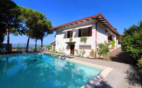 Pupa House: Vand, Plante, Himmel, Ejendom, Bygning, Svømmepøl, Træ, Azure, Vindue, Skygge