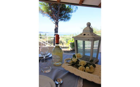 Pupa House: Skygge, Himmel, Træ, Træ, Fritid, Bygning, Landskab, Veranda, Sommerhus, Tag