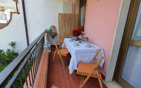 La Butterfly: Plante, Bord, Ejendom, Møbel, Bygning, Stueplante, Træ, Indretning, Blomsterkrukke, Blomst