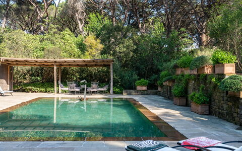 Villa La Pineta: Plante, Vand, Svømmepøl, Træ, Græs, Fritid, Boligområde, Skygge, Ejendom, Landskab