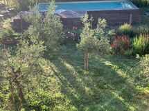 Lina - Podere Ribatti - Casole D'elsa, Toscana