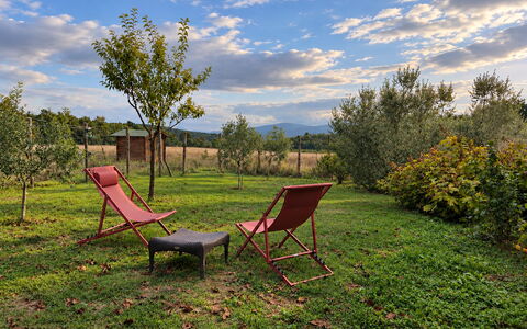 Alice - Podere Ribatti - Casole D'elsa, Toscana: Græs, Blad, Naturlige Landskab, Landskab, Sommer, Land Lot, Almindeligt, Møbel, Landdistrikt, Have