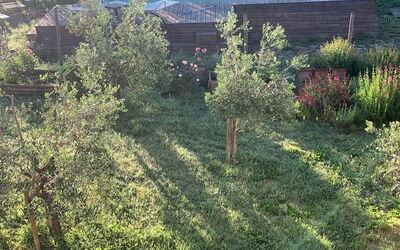 Alice - Podere Ribatti - Casole D'elsa, Toscana