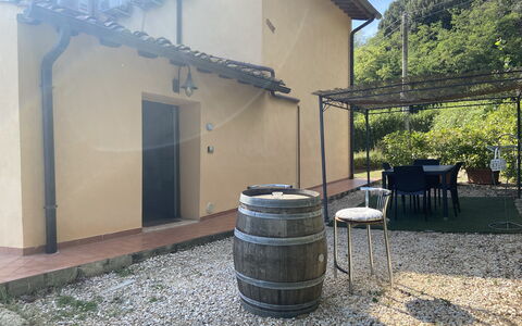 Villa Le Ripe - Gambassi Terme, Toscana: Plante, Bygning, Barrel, Automotive Dæk, Land Lot, Skygge, Træ, Træ, Biome, Hus