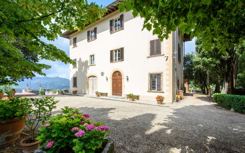 Villa Badiuzza: Plante, Blomst, Bygning, Ejendom, Vindue, Himmel, Træ, Blomsterkrukke, Hus, Dør