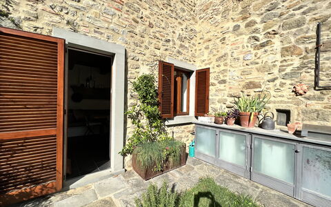 The Architects House: Plante, Bygning, Ejendom, Vindue, Blomsterkrukke, Træ, Indretning, Arkitektur, Stueplante