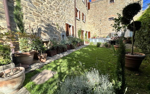 The Architects House: Plante, Ejendom, Blomsterkrukke, Bygning, Vindue, Belysning, Vegetationen, Stueplante, Vejbelægning, Græs