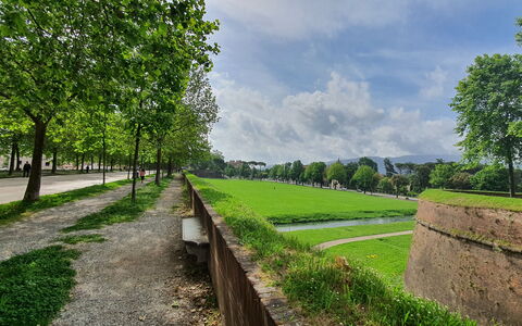 Casa Toto: Grøn, Græs, Almindeligt, Bunddække, Have, Lawn, Landscaping, Walkway, Parkere, Plantation