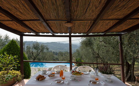 Casa Mimy: Bord, Møbel, Bordservice, Plante, Træ, Skygge, Indretning, Stol, Vinglas, Udendørs Møbler