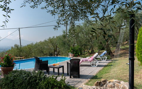 Casa Mimy: Plante, Himmel, Vand, Svømmepøl, Skygge, Træ, Udendørs Møbler, Græs, Fritid, Landskab