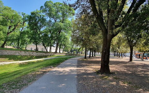 La Colonna: Plante, Himmel, Træ, Vejbelægning, Skygge, Naturlige Landskab, Færdselsåre, Græs, Landskab, Asfalt